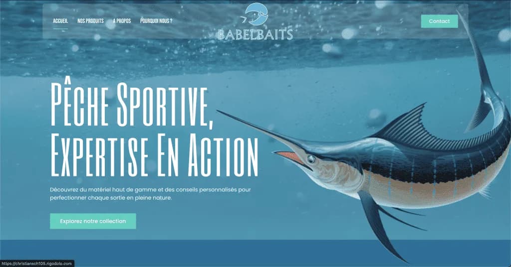 Babel Baits website (Fishing & Lures), designed by Agence Zen
