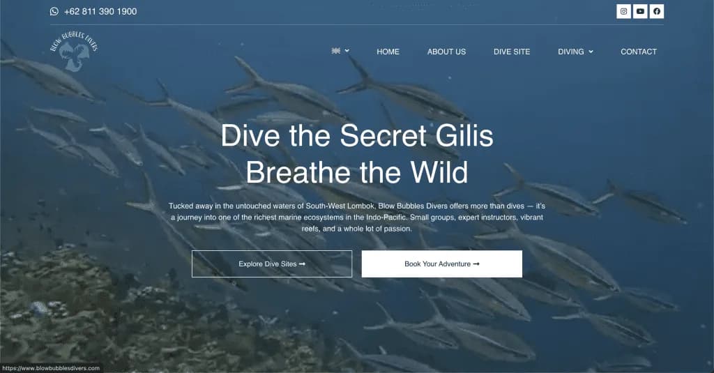 Website Blow Bubbles Divers — built by Agence Zen