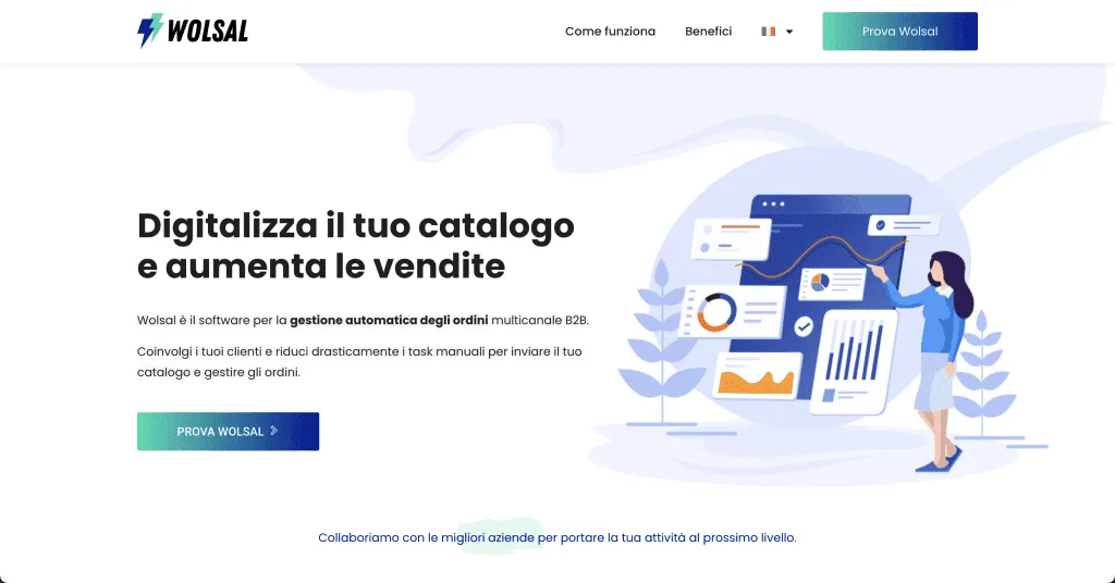Site internet Wolsal — réalisé par Agence Zen